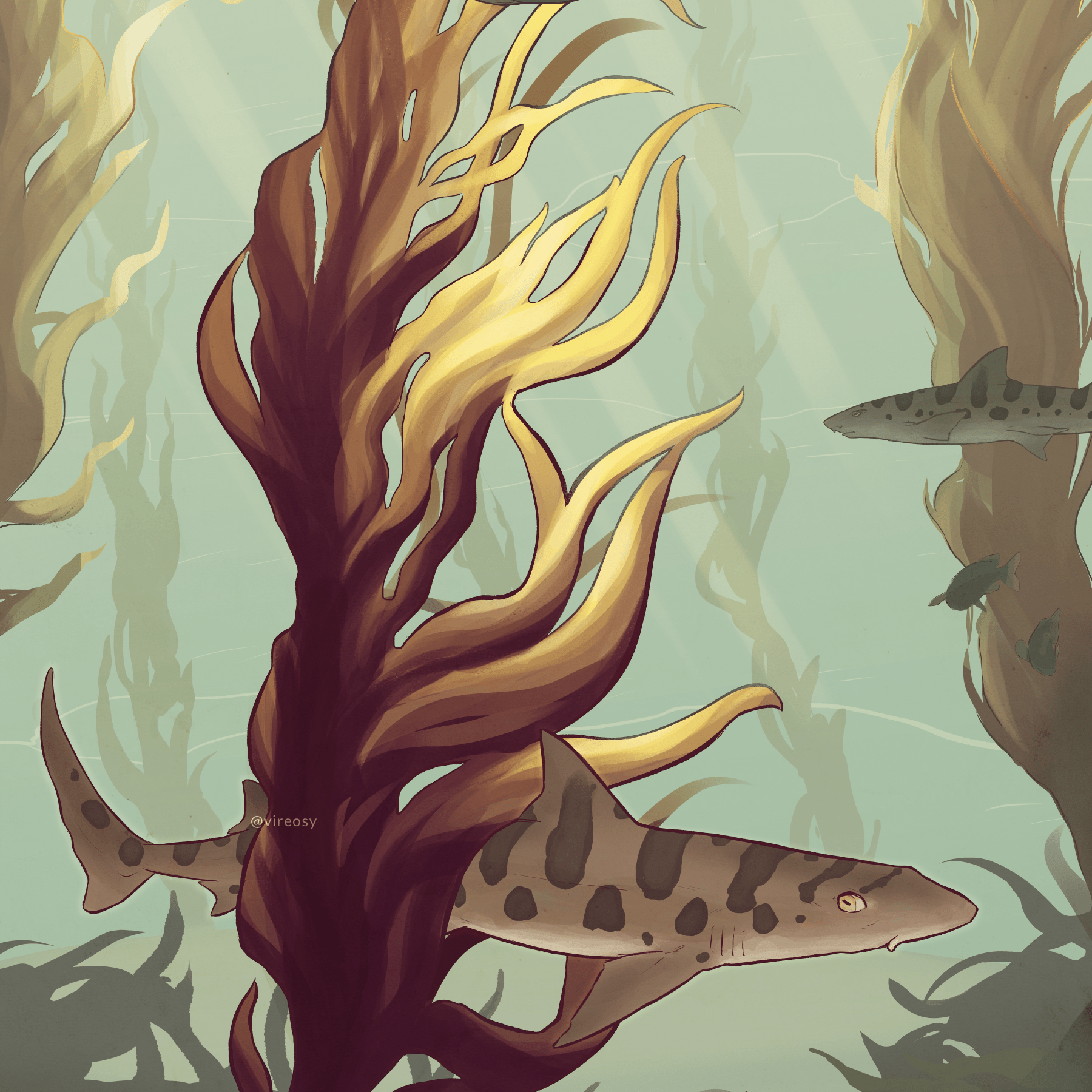 Illustration of a leopard seal patrolling a kelp forest.
