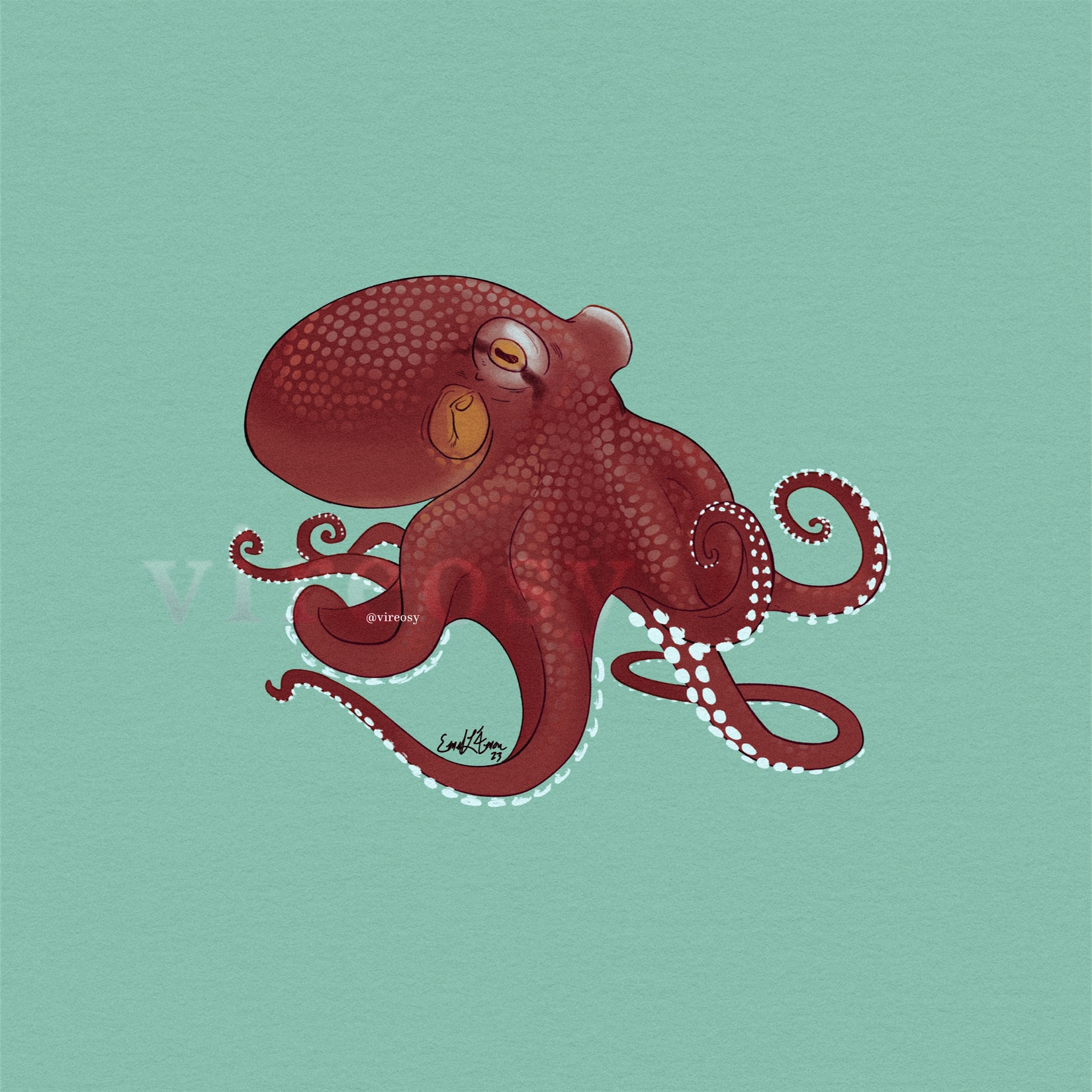 Coconut octopus on a teal background.