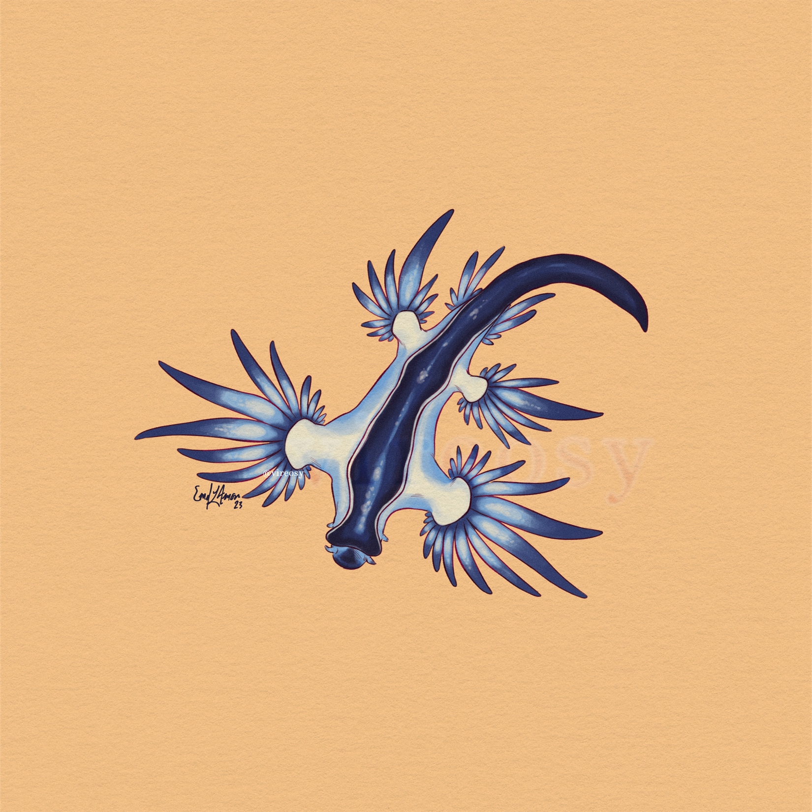 Blue glaucus on a pale orange background.
