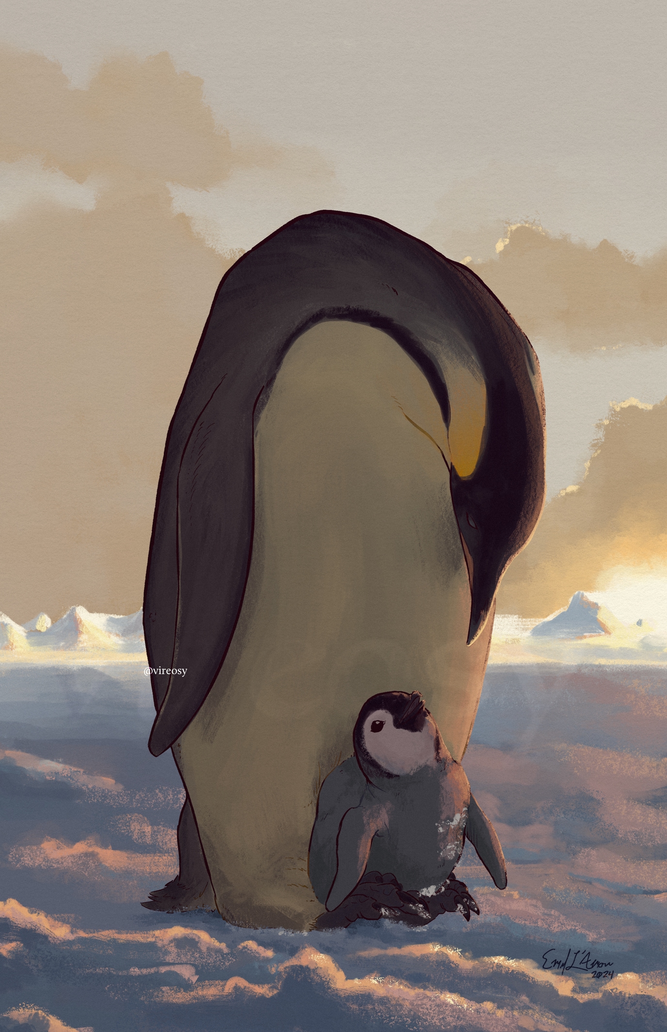 Emperor penguin parent and child at sunrise.