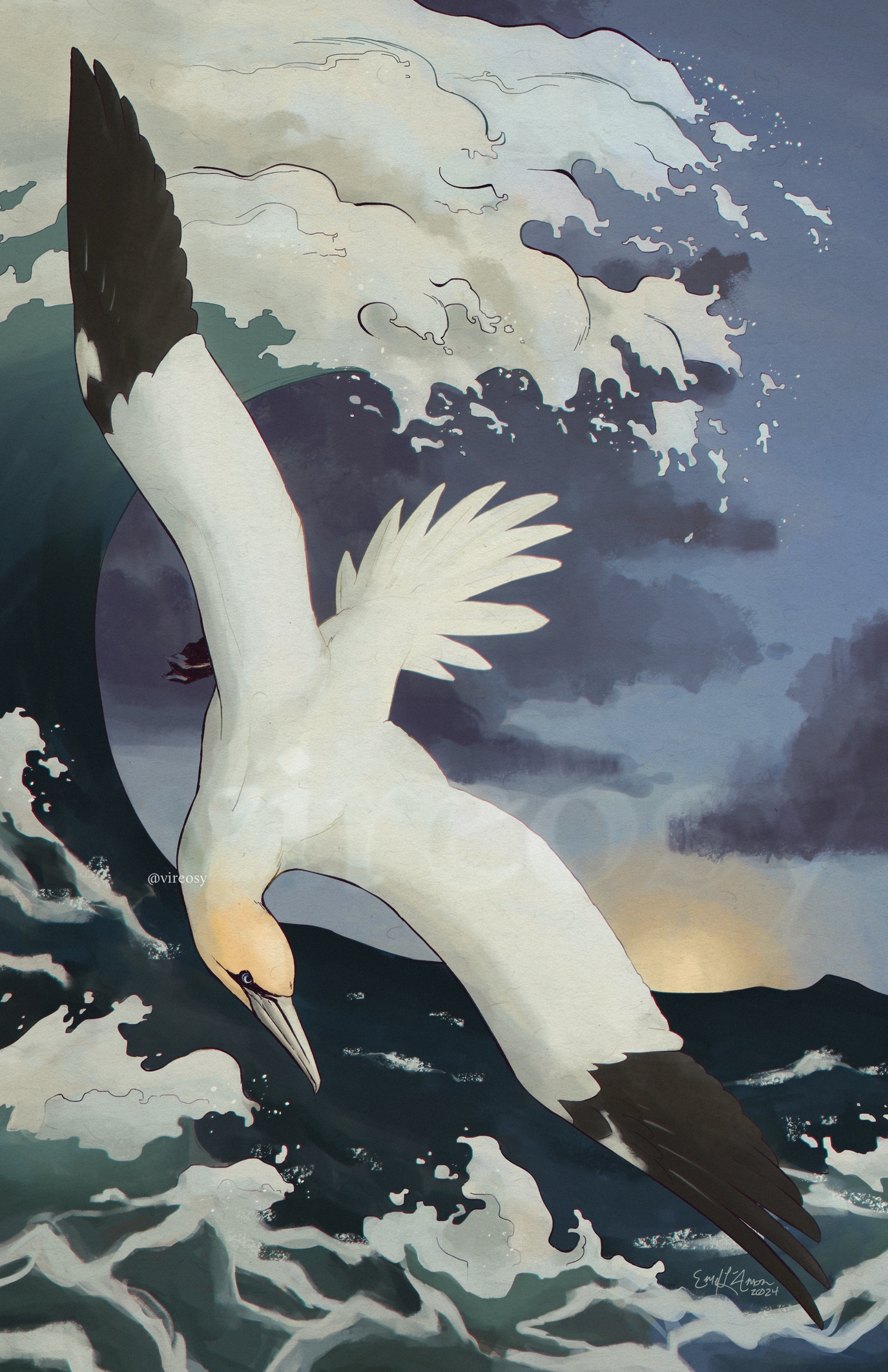 Northern gannet flying before a wave.