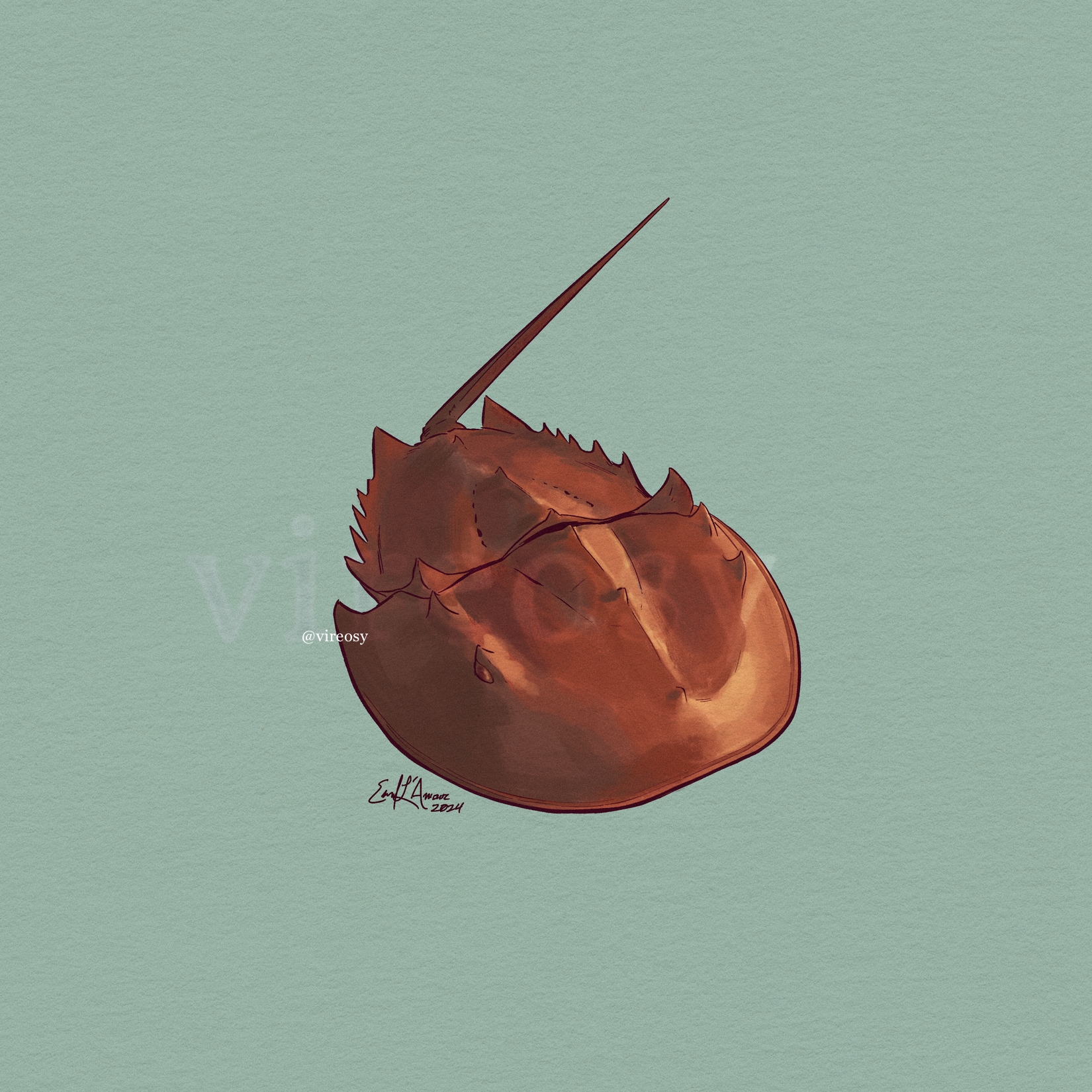 Horseshoe crab on a pale teal background.
