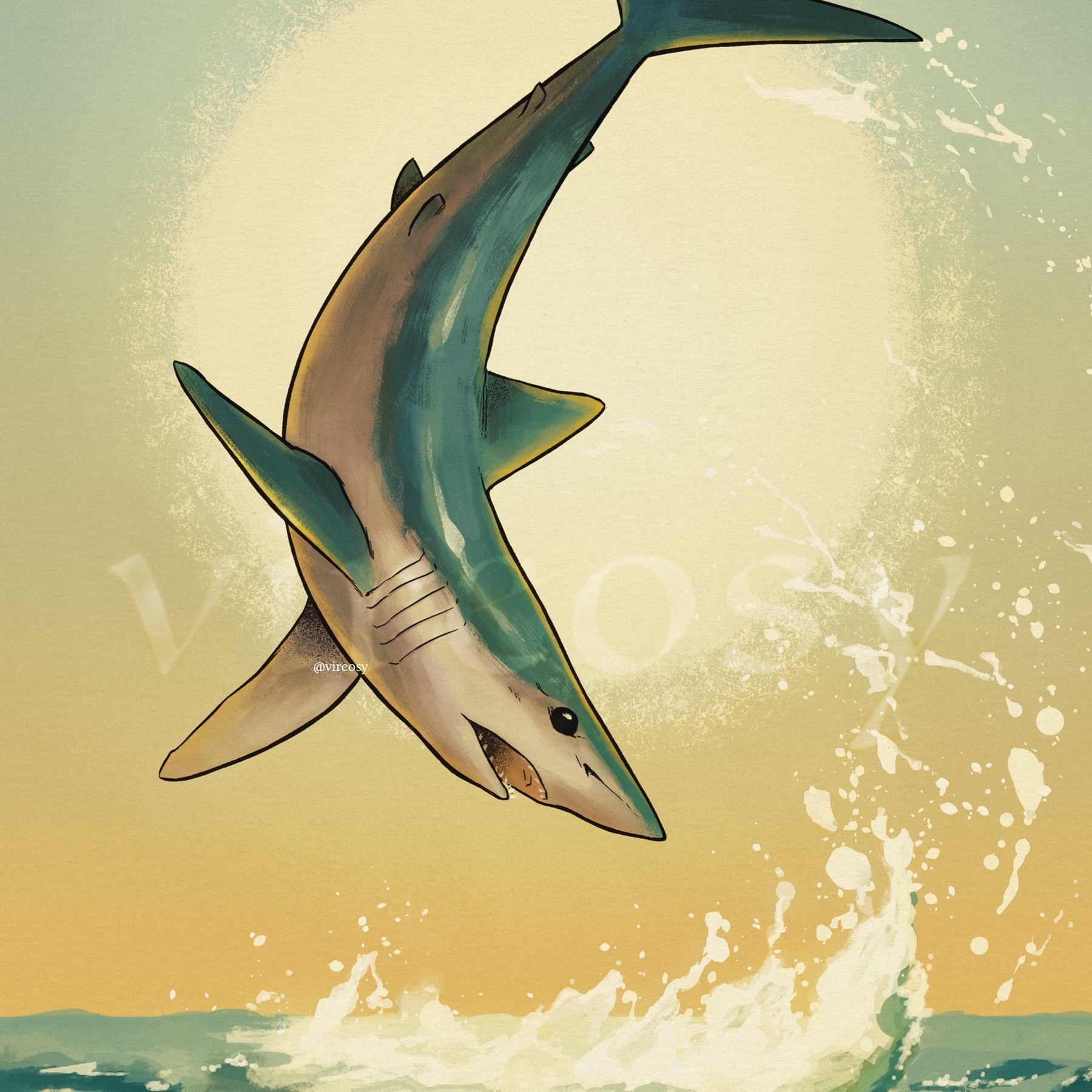 Shortfin mako shark leaping above water.