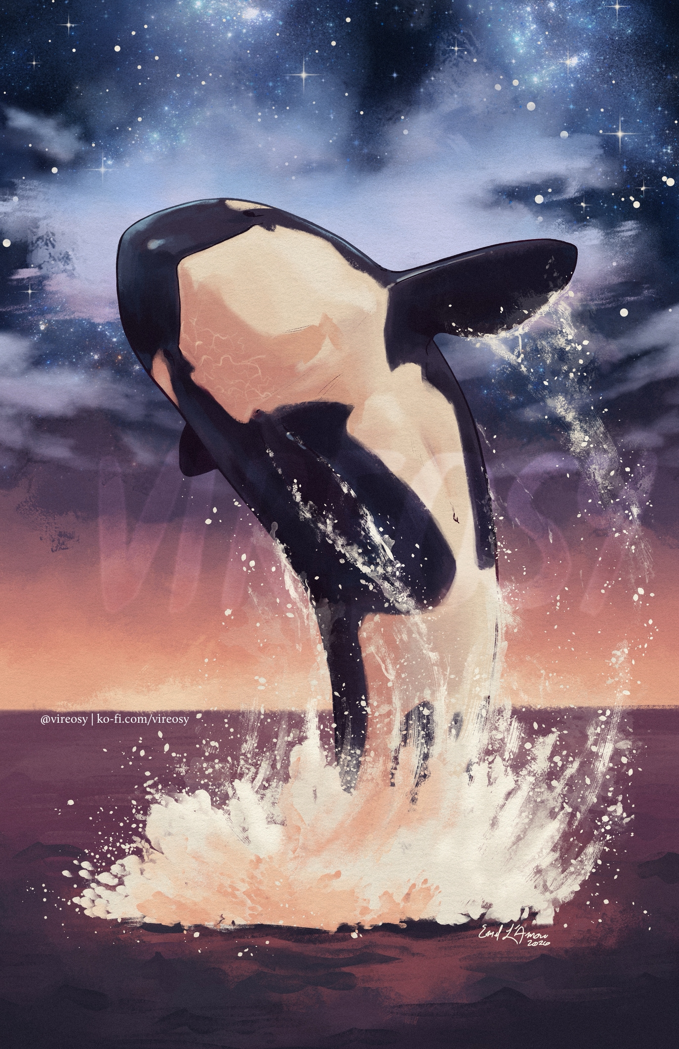Orca breaching under a starry sunset sky.