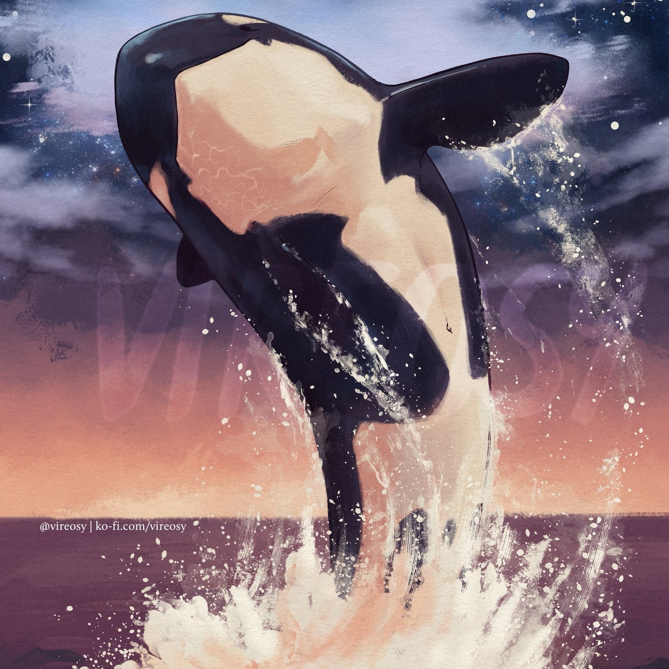 Orca breaching under a starry sunset sky.