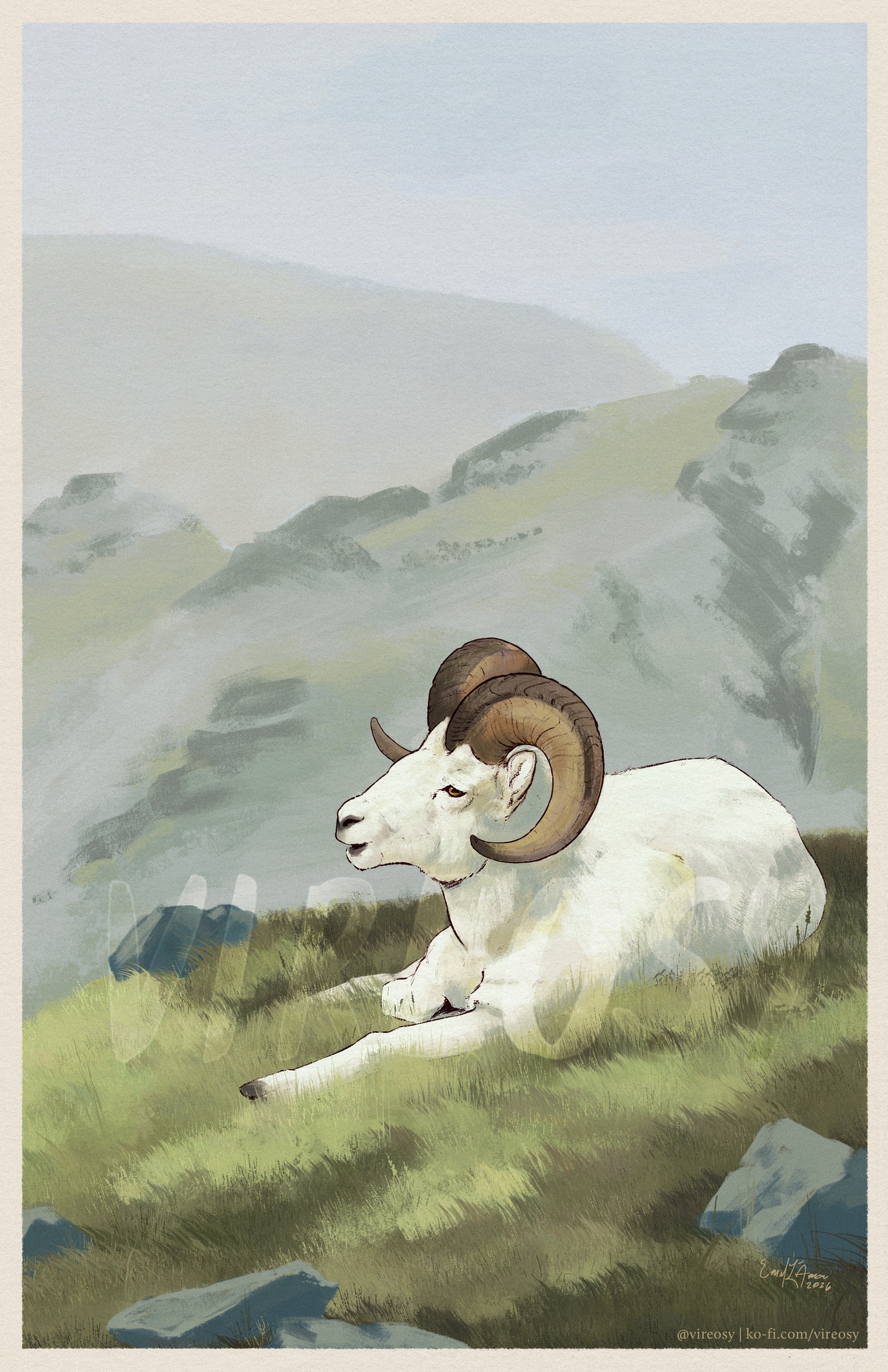 Dall sheep resting on a grassy hill.